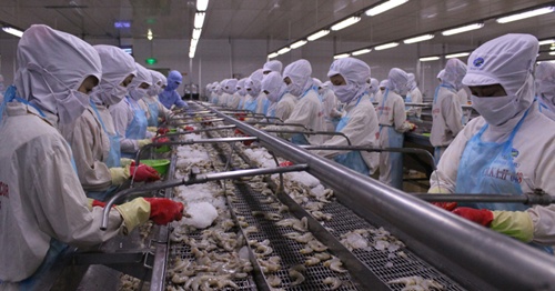 Bad US weather hurts VN seafood exporters