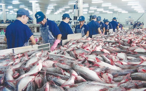 Fisheries sector urged to improve production technologies