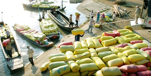 VN to create prominent rice brand