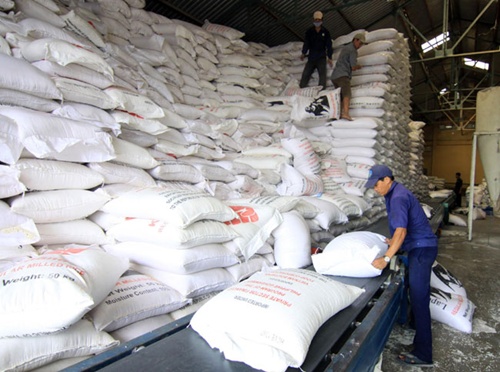 Local rice exports continue to decline