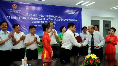 Vinamilk to develop dairy farms in Lam Dong