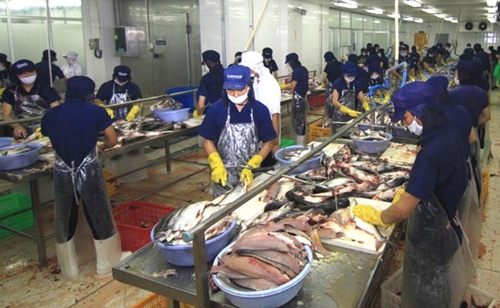 Tra fish exports continue to fall