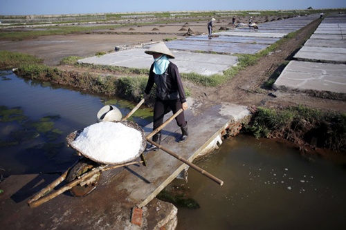 Salt industry will be restructured