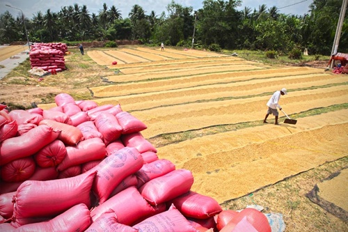 PM upholds unchanged VAT for rice