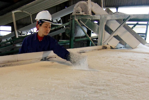 Tender planned for sugar imports