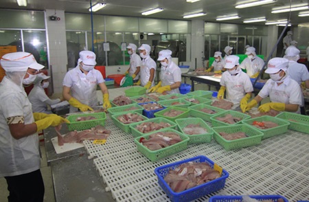 Tra fish output rises as exports fall