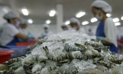 Shrimp exports to UK rise sharply