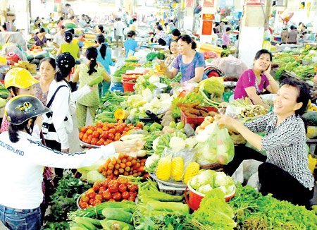 Viet Nam a global bright spot in 2015