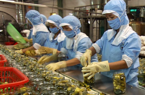 Viet Nam to top in GDP gain from TPP, AEC