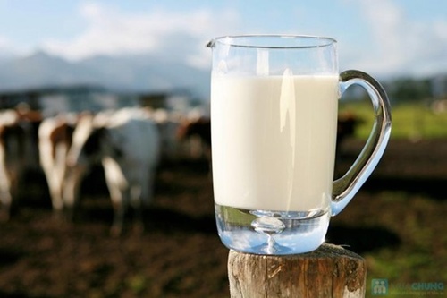 Fresh milk output rises despite poor prospects