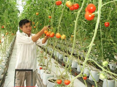 Agriculture brings high hope to industrial producers