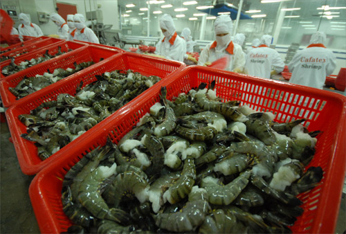 VN to export less mollusks to EU as challenges arise