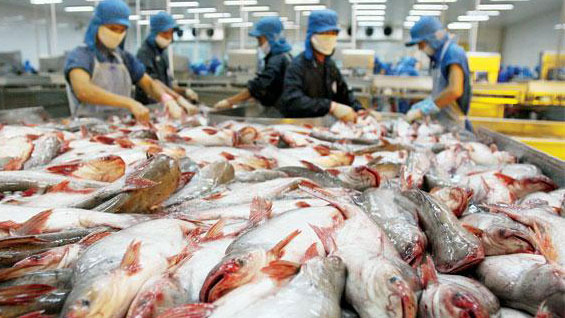 US imposes anti-dumping duties on Vietnamese tra fish