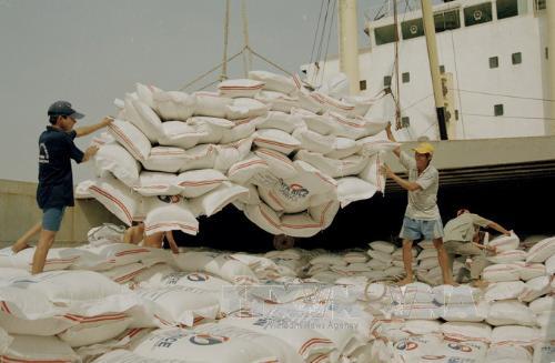 Viet Nam to export rice to the Philippines