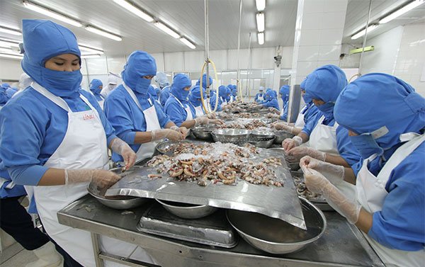 DOC eases anti-dumping duties, but shrimp exporters still unsatisfied