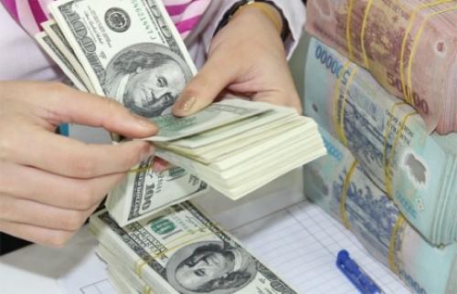 Dong regains sheen as dollar rates cut