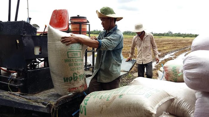 Vietnam expects higher prices for rice after Philippines bid