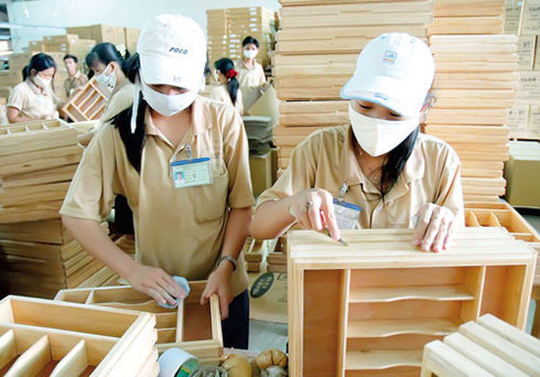 Wood exporters urged to get legal