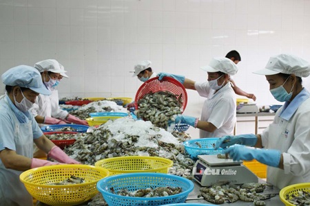 Shrimp exports to fall by $1 billion