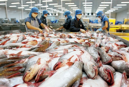 Tra fish exports to China grow