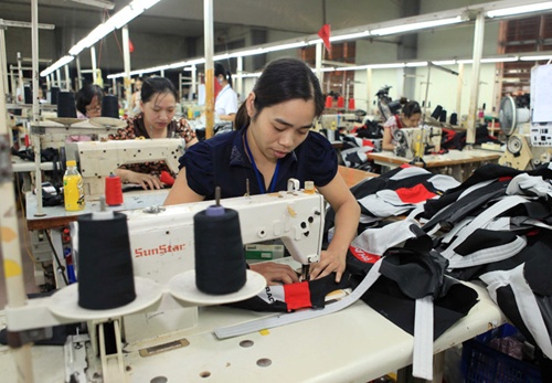 New VN companies reach record this year