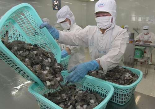 VN predicts reduction in shrimp exports