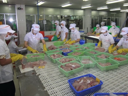 Vietnamese tra fish to struggle with American seafood inspection rule