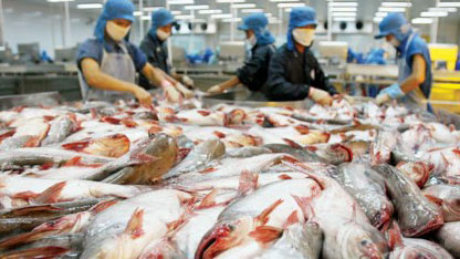 Catfish exports face rigid new US import standards