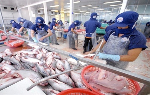 Local exports to face stiff competition