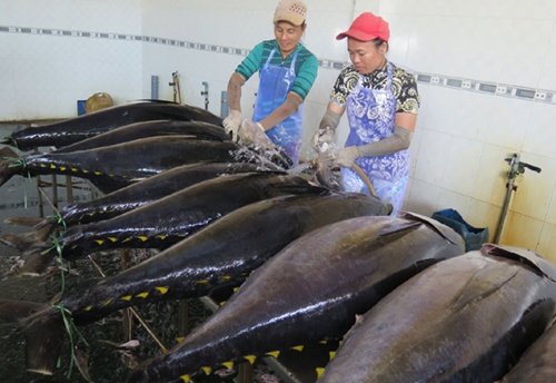 Tuna firms eye 8% export rise