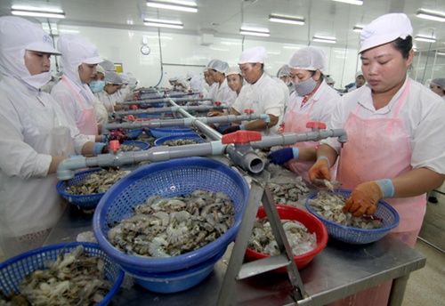VN to export more shrimp to US