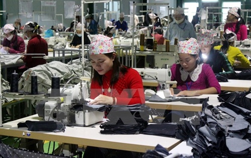 Vietnamese firms seek to take advantage of FTAs