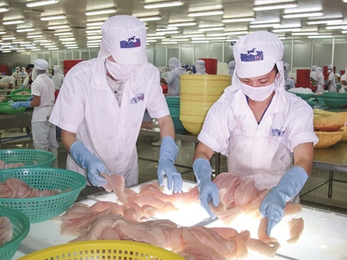 HVG to invest VND333,450 million in Russian fish enterprise
