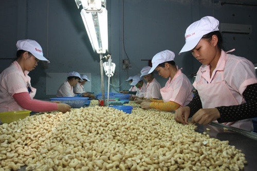 Ivory Coast, VN discuss cashew trade