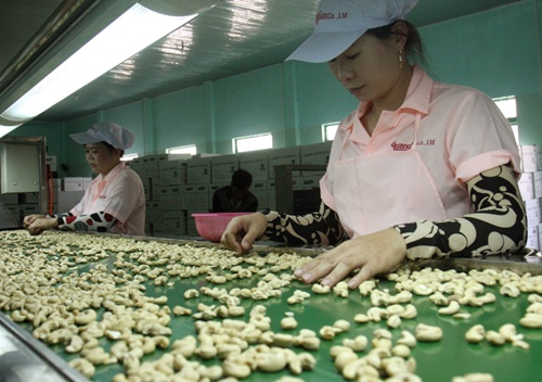 Cashew prices reach 10 year record high