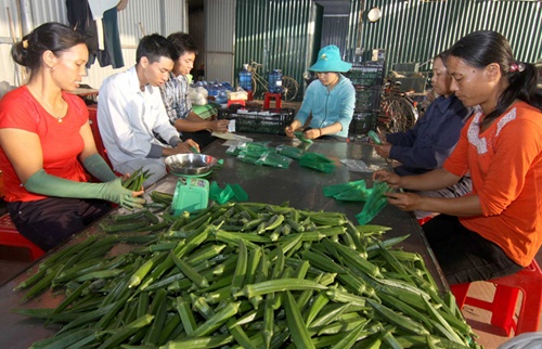 VN to see trade surplus in Q1