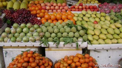 VN fruit and veg export value rise