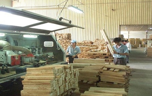 Viet Nam, EU agree on timber export regulations
