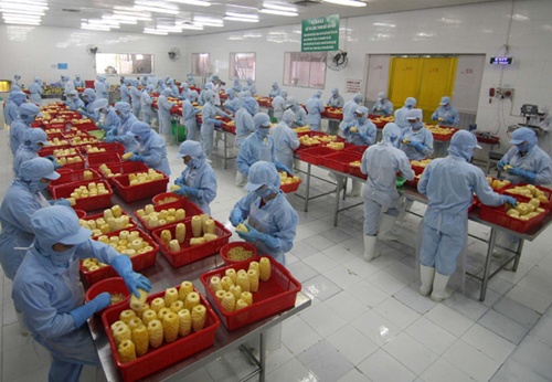 VN aiming for sustainable exports