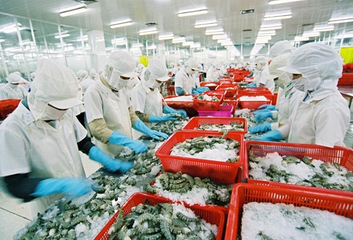 UK ideal for shrimp exports