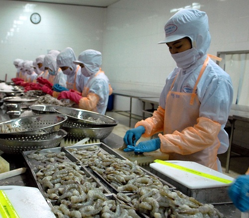 Shrimp export sales expected to recover after difficult 2015