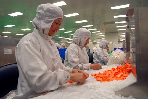 VN PMI jumps to a 9-month high