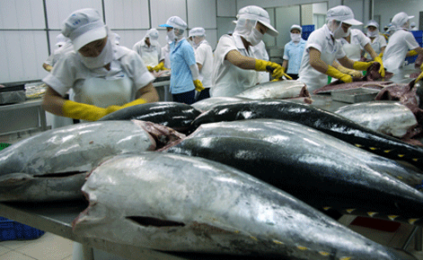 VN tuna exports decline 5.5% year-on-year in Q1
