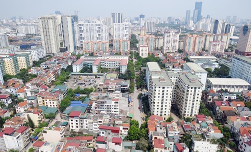 Domestic real estate to see ‘hot' development