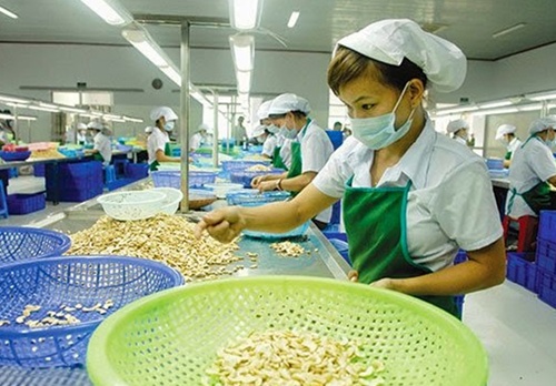 VN to experience difficulties in reaching yearly export targets due to low growth