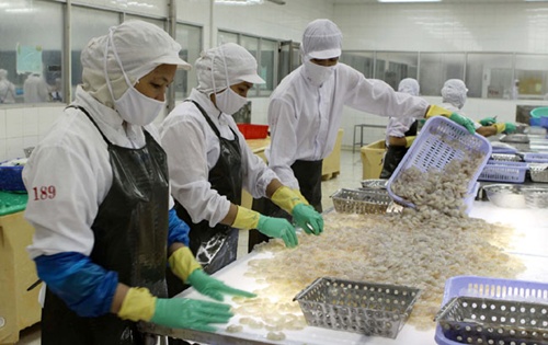 VN shrimp exports to S Korea to rise