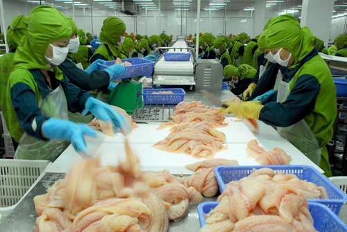 Catfish exporters brace for strict US inspections