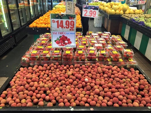 Irradiation facilities benefit fruit exporters