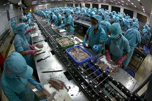 Tra fish exports to China thriving