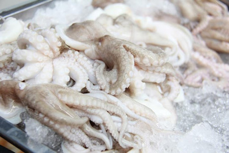 VN is fourth largest squid exporter to Japan